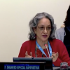 Farida Shaheed, the UN Special Rapporteur, in mid speech at the UN general assembly